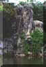 collinefirenze24small.jpg (5221 byte)